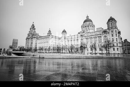 Le Royal Liver Building, le Cunard Building et le Port of Liverpool Building ont vu se refléter dans le revêtement humide de Pier Head en décembre 2022 le long du Banque D'Images