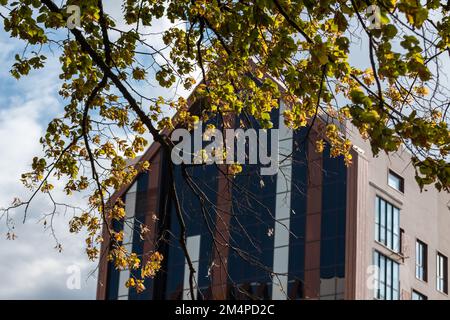 Bâtiment résidentiel moderne façade architecture dans des branches d'arbres ensoleillées. Murs bruns avec grands détails en verre sur ciel nuageux Banque D'Images