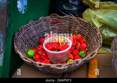 Fruits, épices, légumes et légumes en boîtes à vendre au salon de Sao Joaquim à Salvador, Bahia. Banque D'Images