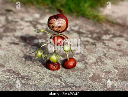 Jolie figurine châtaigne avec de petites tomates sur le mur, Rhénanie-du-Nord-Westphalie, Allemagne Banque D'Images