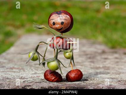 Jolie figurine châtaigne avec de petites tomates sur le mur, Rhénanie-du-Nord-Westphalie, Allemagne Banque D'Images