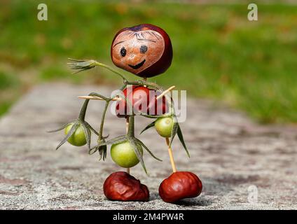 Jolie figurine châtaigne avec de petites tomates sur le mur, Rhénanie-du-Nord-Westphalie, Allemagne Banque D'Images