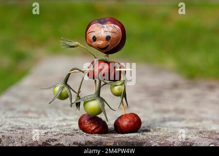 Jolie figurine châtaigne avec de petites tomates sur le mur, Rhénanie-du-Nord-Westphalie, Allemagne Banque D'Images