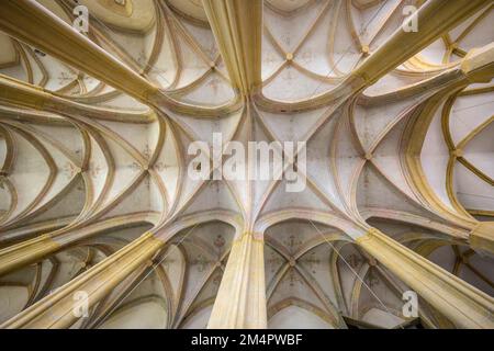 Voûte nervurée dans la collégiale gothique de St. Lambrecht, Sankt Lambrecht, Styrie, Autriche Banque D'Images