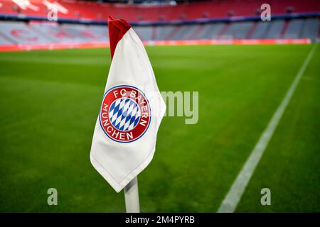 Vue d'ensemble, intérieur, drapeau d'angle, logo, FC Bayern, Allianz Arena, Munich, Bavière, Allemagne Banque D'Images