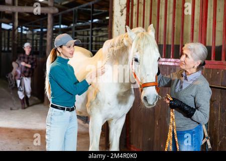 Fille tressant la manie de cheval de course alors que la femme âgée tient un animal obéissant Banque D'Images