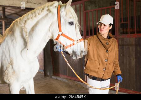 Femme asiatique ouvrier stable de tête de cheval par bride dans la grange Banque D'Images