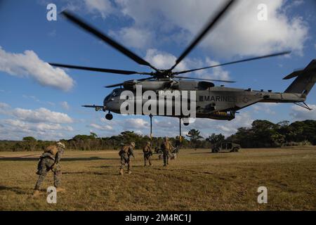 ÉTATS-UNIS Marines avec combat Logistics Battalion 31, 31st Marine Expeditionary Unit, supervisez comme un CH-53E Super Stallion décollage après avoir attaché la cargaison lors d'un exercice d'équipe de soutien d'hélicoptère à Camp Hansen, Okinawa, 20 décembre 2022. L’exercice de la TVH était un test effectué pour certifier des pilotes dans des opérations de chargement de harnais et pour accroître la compétence de la CLB 31 spécialisée dans l’occupation militaire des Marines . Le MEU de 31st, le seul MEU en permanence déployé par le corps des Marines, fournit une force flexible et mortelle prête à exécuter une large gamme d'opérations militaires en tant que première force de réponse à la crise dans l'Indo-Pa Banque D'Images