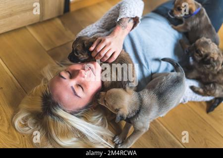 Temp home femme volontaire jouant avec des petits chiots. Photo de haute qualité Banque D'Images