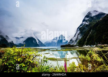 Chute d'eau qui coule dans le Milford Sound Banque D'Images