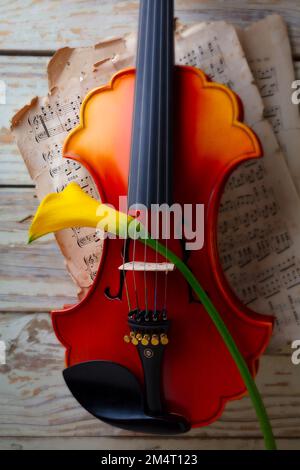 Calla jaune à travers les cordes d'Un violon baroque avec la musique de feuille encore vie Banque D'Images