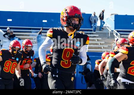 Ferris State Bulldogs Cam Underwood (9) lors du championnat national de football universitaire de la Division II de la NCAA, au stade McKinney ISD samedi, déc Banque D'Images