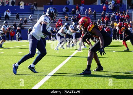 Colorado School of Mines Orediggers offense prend la défense des Bulldogs de l'État de Ferris au cours du troisième trimestre du champ national de la Division II de la NCAA Banque D'Images