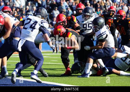 Ferris State Bulldogs Carson Gulker (12) est arrêté juste en deçà de la ligne de but par la Colorado School of Mines Orediggers linebacker Nolan Reeve (46) dur Banque D'Images