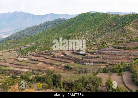 Les champs de la terrasse agricole sont labourés et se préparent pour la nouvelle saison. Banque D'Images