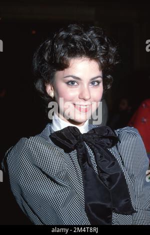 Delta Burke à la Réunion SOAP un an après son annulation. La fête coïncide avec le tournage de son premier segment il y a cinq ans. Chasen's à Beverly Hills, Californie sur 30 août 1982. Crédit: Ralph Dominguez/MediaPunch Banque D'Images