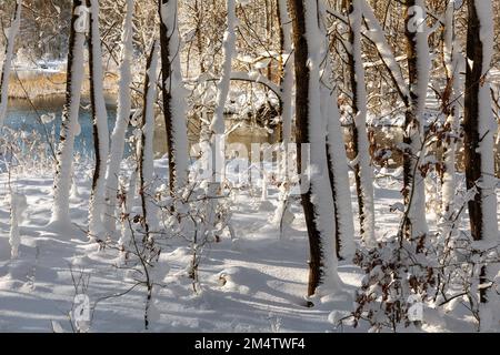 Hiver à Warmia et Mazury, Krutynia River, Pologne Banque D'Images