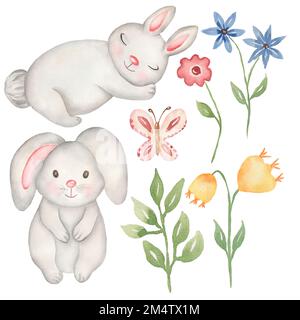 Ensemble de lapin de pâques aquarelle pour bébé. vacances de printemps - élément floral - fleurs sauvages, végétation, falaise, fleurs, papillons. illustrat délicat de lapin de printemps Banque D'Images