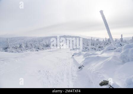 Paysage de montagne d'hiver. Karkonosze en hiver en Pologne. Banque D'Images