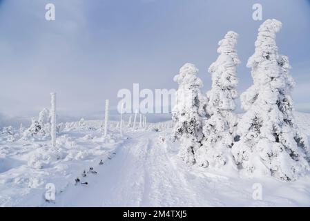 Paysage de montagne d'hiver. Karkonosze en hiver en Pologne. Banque D'Images