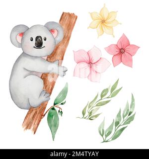 Aquarelle de la falaise d'animaux de Koala. Bébé ours, vert anf fleurs dans la couleur neutre clip art. Douche de bébé, fête d'anniversaire, pépinière art PNG fichiers bricolage. Cu Banque D'Images