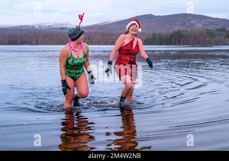 Les membres du groupe de nageurs sauvages du Loch Insh prennent part à une baignade sur le thème de Noël dans le Loch Insh, dans le parc national de Cairngorms, près d'Aviemore, en Écosse. Date de la photo: Vendredi 23 décembre 2022. Banque D'Images