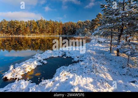 Hiver à Warmia et Mazury, Pologne Banque D'Images