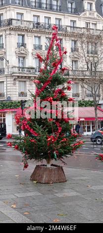 Un sapin déjà mis devant l'église saint Vincent de Paul, Paris 10 Banque D'Images