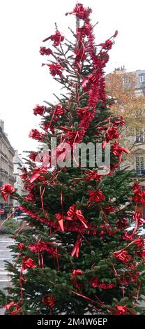 Un sapin déjà mis devant l'église saint Vincent de Paul, Paris 10 Banque D'Images