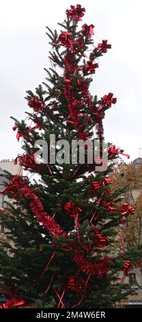 Un sapin déjà mis devant l'église saint Vincent de Paul, Paris 10 Banque D'Images