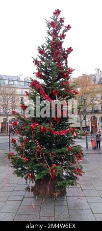 Un sapin déjà mis devant l'église saint Vincent de Paul, Paris 10 Banque D'Images