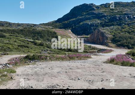 Route sinueuse dans une zone montagneuse sous un ciel nuageux d'été Banque D'Images