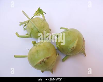Le chou-rave, également appelé navet allemand ou chou-navet, est un légume bisannuel. Nom scientifique - Brassica oleracea. Banque D'Images