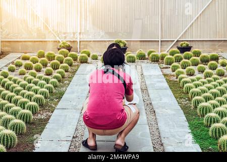 Vue arrière du jeune couple asiatique Prenez une photo avec différentes plantes de cactus dans la ferme de serre de cactus. Amoureux du bonheur dans le jardin botanique. Variété de CAC Banque D'Images