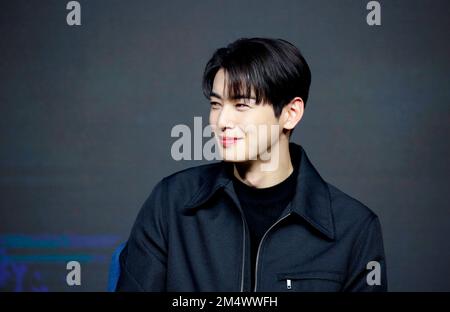 CHA Eun-Woo (ASTRO), 22 décembre 2022 : l'acteur Cha Eun-Woo participe à une présentation de production de la série originale "Island" de Tving à Séoul, en Corée du Sud. Credit: Lee Jae-won/AFLO/Alay Live News Banque D'Images
