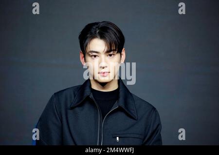 CHA Eun-Woo (ASTRO), 22 décembre 2022 : l'acteur Cha Eun-Woo participe à une présentation de production de la série originale "Island" de Tving à Séoul, en Corée du Sud. Credit: Lee Jae-won/AFLO/Alay Live News Banque D'Images