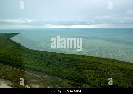 Une vue aérienne de la côte de South Bimini, Bahamas Banque D'Images