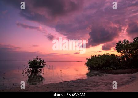 Un lever de soleil spectaculaire à Bimini, Bahamas Banque D'Images