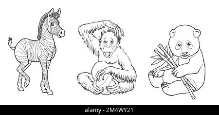 Zèbre mignon, orangutan et panda géant à colorer. Modèle pour un livre de coloriage avec des animaux amusants. Modèle de coloriage pour enfants. Banque D'Images