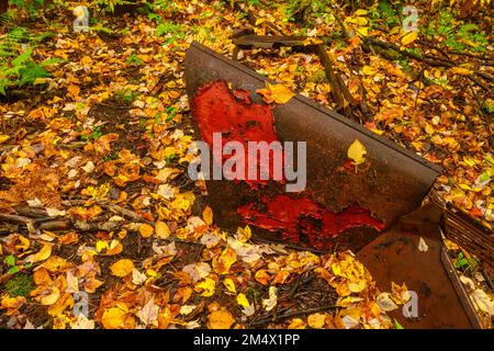 Feuilles d'automne tombées, châssis de camion abandonné rouillé dans les bois, parc provincial Algonquin, Ontario, Canada Banque D'Images