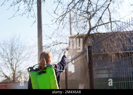 pesti de fumigation, lutte antiparasitaire. Défoquer la femme paysanne pulvérisant l'arbre avec un pulvérisateur de pesticides verts contre les insectes dans le jardin de printemps. Agriculture et gard Banque D'Images