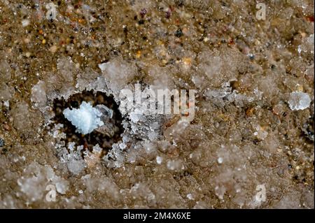 macro au-dessus de la vue d'une seule couche de sel de roche de fonte de glace sur le béton avec une couche gelée. Banque D'Images