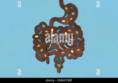 Le microbiote de Gut humain - micro-organismes qui vivent dans le tractus gastro-intestinal humain - Illustration conceptuelle Banque D'Images