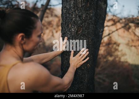 Femme touchant le tronc d'arbre brûlé dans la forêt Banque D'Images