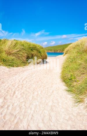 Royaume-Uni, Écosse, dunes de Grassy de Scousburgh Sands Banque D'Images