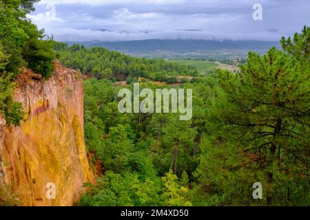 France, Provence-Alpes-Côte d'Azur, falaise entourée d'une forêt verte dans le Sentier des Acres Banque D'Images