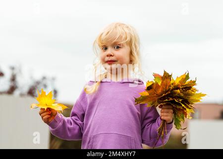 Jolie fille blonde tenant des feuilles d'automne Banque D'Images