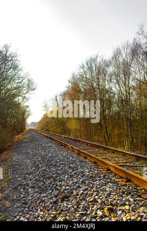 Train à travers la nature jusqu'à l'infini à Loxstedt Cuxhaven en Basse-Saxe en Allemagne. Banque D'Images