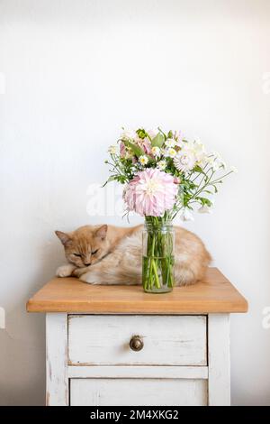 Chat se détendant derrière un vase avec des fleurs sur le dessus de la petite armoire Banque D'Images