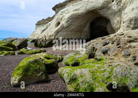 Une plage avec des rochers couverts de mousse verte et d'algues. Puerto Madryn, province de Chubut, Argentine Banque D'Images